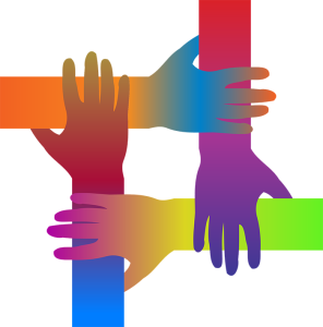 Polibiz - diversity