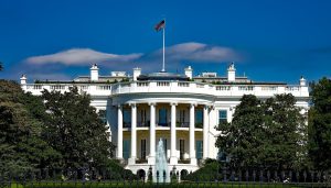 Polibiz - white house